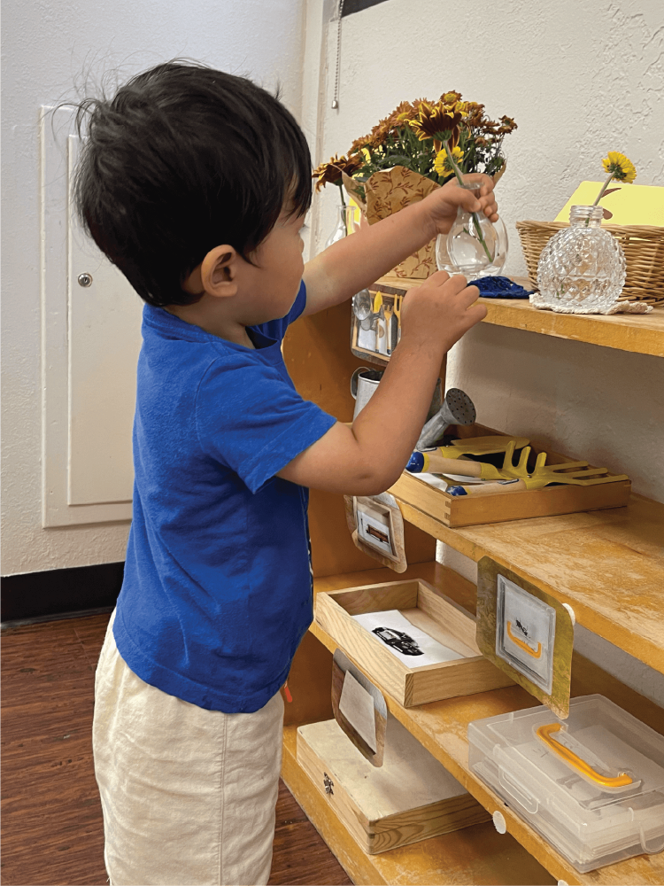 Maintoddler