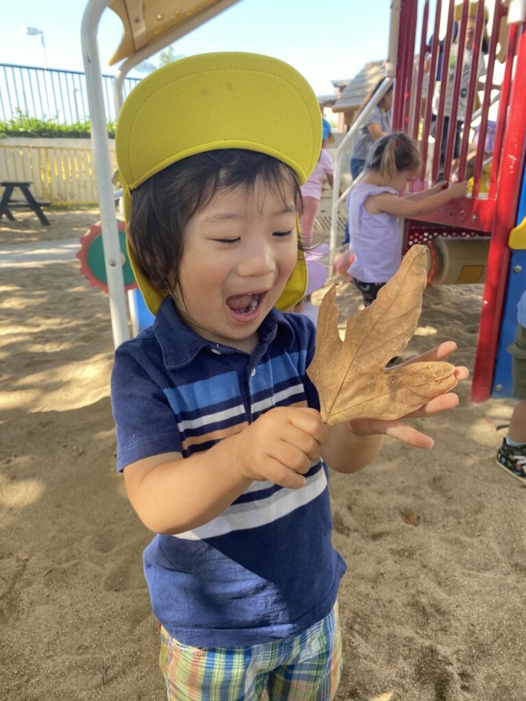 Toddler Child Holding A Leaf