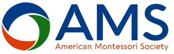 Ams Logo Web